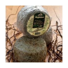 Cabra Romero (Rosemary Goat) (Murcia) 6/3#