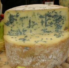 Gorgonzola Piccante Whl DOP (Piemonte) 1/13#