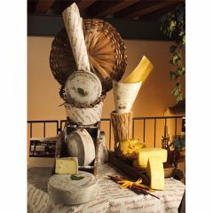 Sottocenere w truffles Mitica (veneto) 2/7#