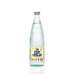 Vichy Catalan Mineral Sparkling Water glass 500ml
