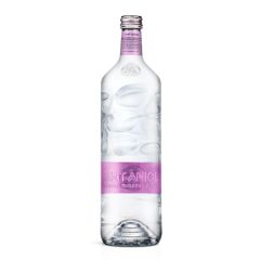 Sant Aniol Rocks Sparkling Mineral Water 750 ml (25.3 fl oz)