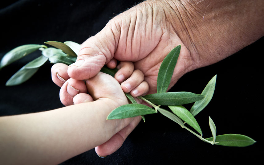 Bellucci | Pour More - Can EVOO Cure Alzheimer’s Disease? Researchers Explore