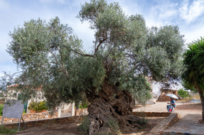 Bellucci | Pour More - Technology Meets Antiquity