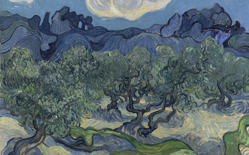 Bellucci | Pour More - Van Gogh's Olive Trees